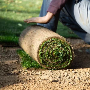 Drought Defender Turf