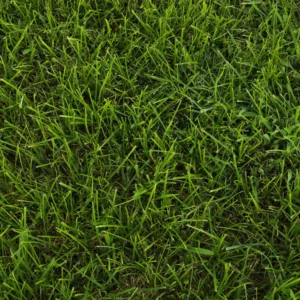 Shade Master Turf