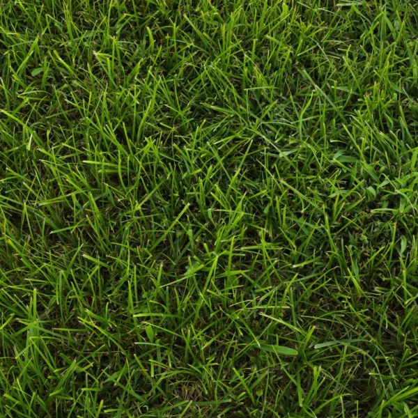 Shade Master Turf