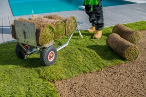 A professional installer laying fresh rolls of premium lawn turf near a garden pool, showcasing quality grass supplied by the best turf supplier in Essex.