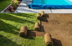 An elevated outdoor shot showing the process of natural turf installation beside a swimming pool. Rolls of new sod are laid out on prepared, sandy soil, adjacent to a section of already-installed, bright green grass and a wooden deck. The pool is partially covered with a blue tarp.