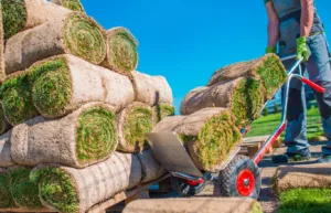 A professional in work clothes and green gloves uses a turf delivery hand truck to move rolls of freshly cut grass sod off a large stack on a pallet outdoors under a clear blue sky.