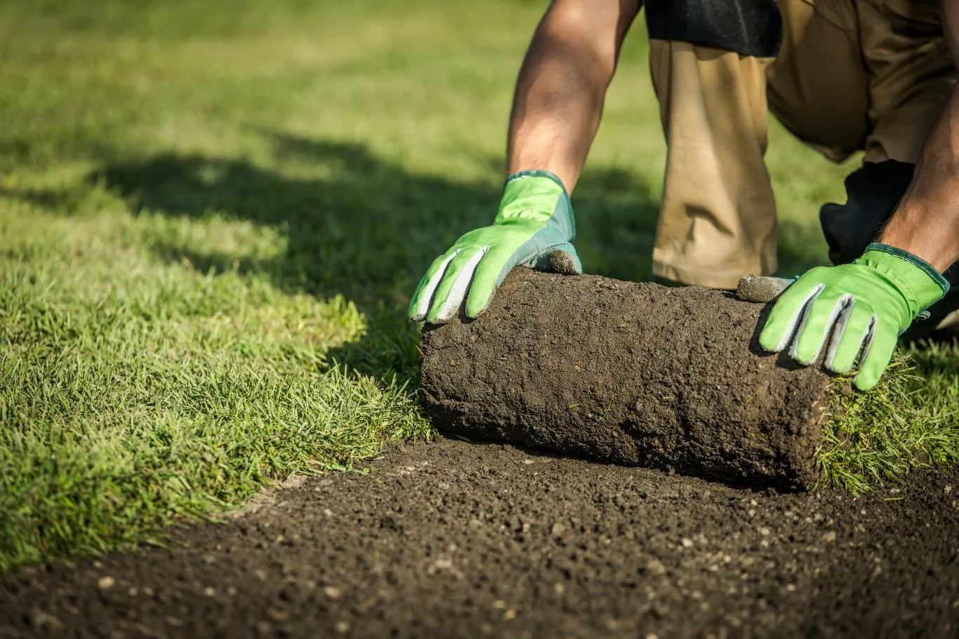 A gardener unrolling fresh turf onto prepared soil in a sunny garden, showing careful installation during the best time to lay turf in the UK for healthy lawn growth.