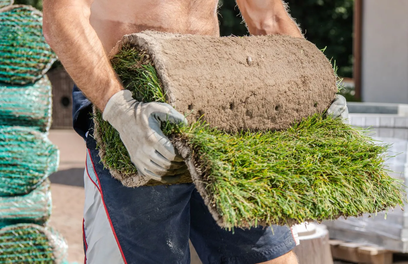 A worker carrying a fresh roll of grass turf during garden installation, showing the quality homeowners look for when they want to buy lawn turf for a new lawn.