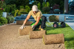 A professional landscaper carefully laying rolled turf during the installation of grass turf, preparing a smooth and even lawn surface in a garden setting.