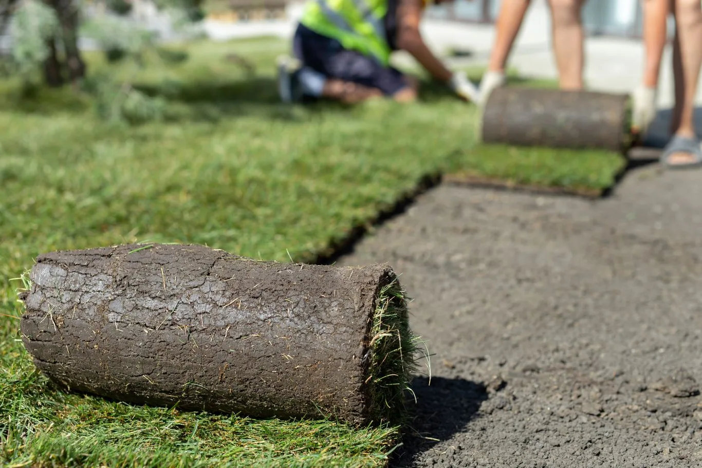 Gardeners laying fresh grass rolls on prepared soil, representing professional installation and overall lawn turf cost considerations.