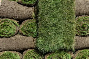 Freshly cut grass turf rolls stacked and ready for lawn installation, showing healthy green blades and rich soil base.