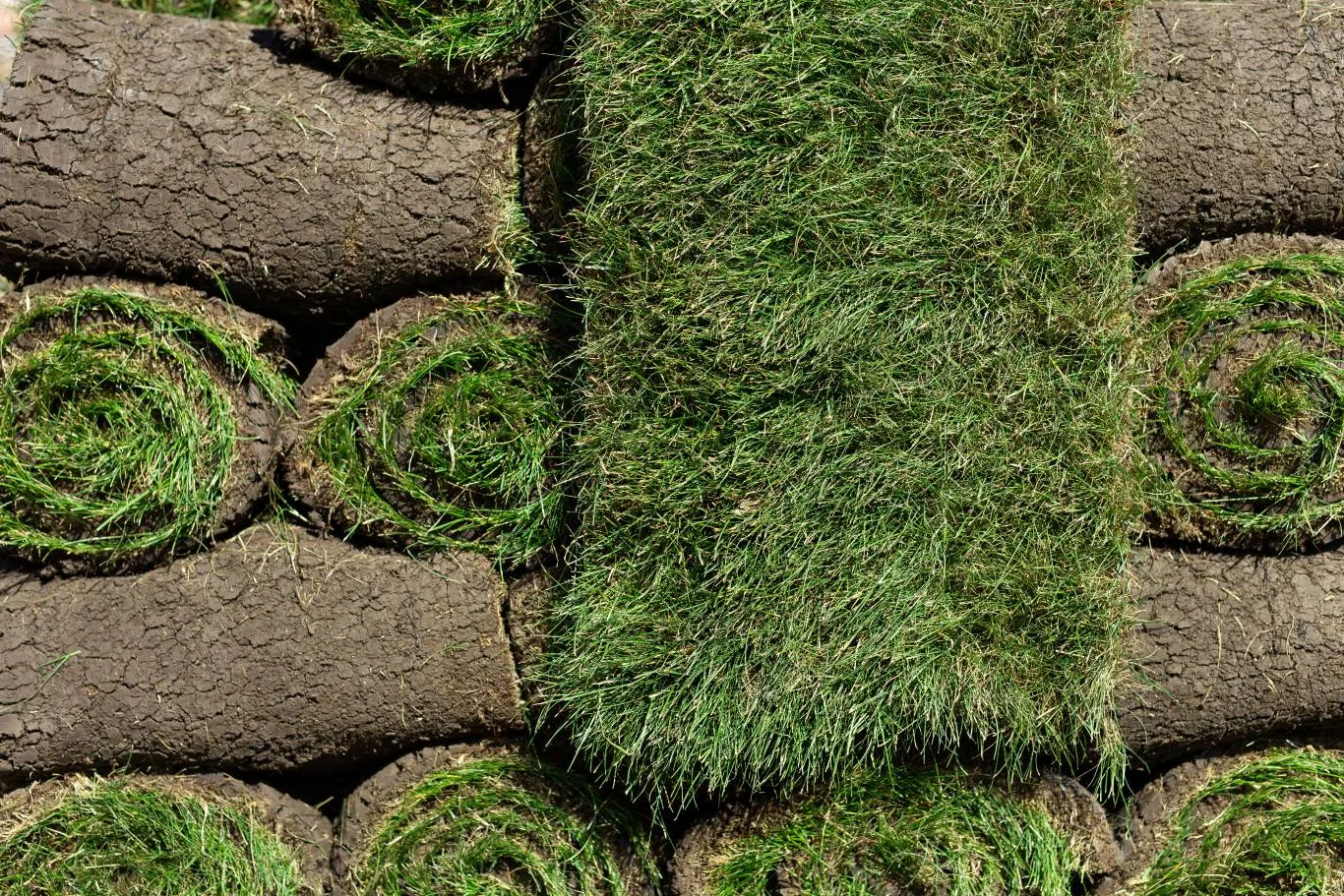 Freshly cut grass turf rolls stacked and ready for lawn installation, showing healthy green blades and rich soil base.