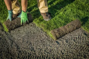 Worker wearing gloves unrolling a strip of grass onto prepared soil, demonstrating how to lay lawn turf in a garden area.
