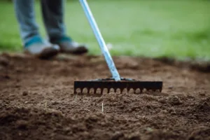 Raking and levelling soil as part of the process of how to prepare garden for turf before laying new lawn grass.