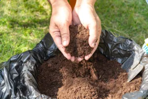 Hands holding rich, fine bagged topsoil ready for improving garden soil and supporting healthy plant growth.