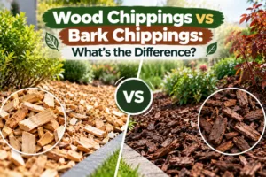 Featured blog guide banner comparing wood chippings vs bark chippings, displaying a side-by-side garden border view of light shredded timber next to dark decorative bark mulch.